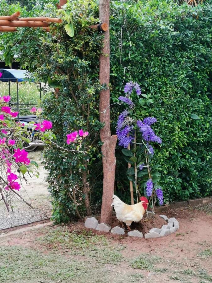 Krabilife Resort Ban Ko Kwang Eksteriør billede
