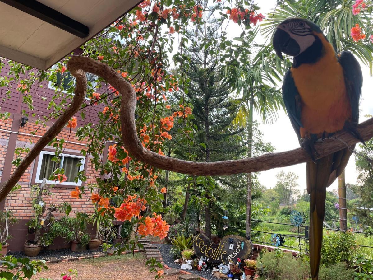 Krabilife Resort Ban Ko Kwang Eksteriør billede