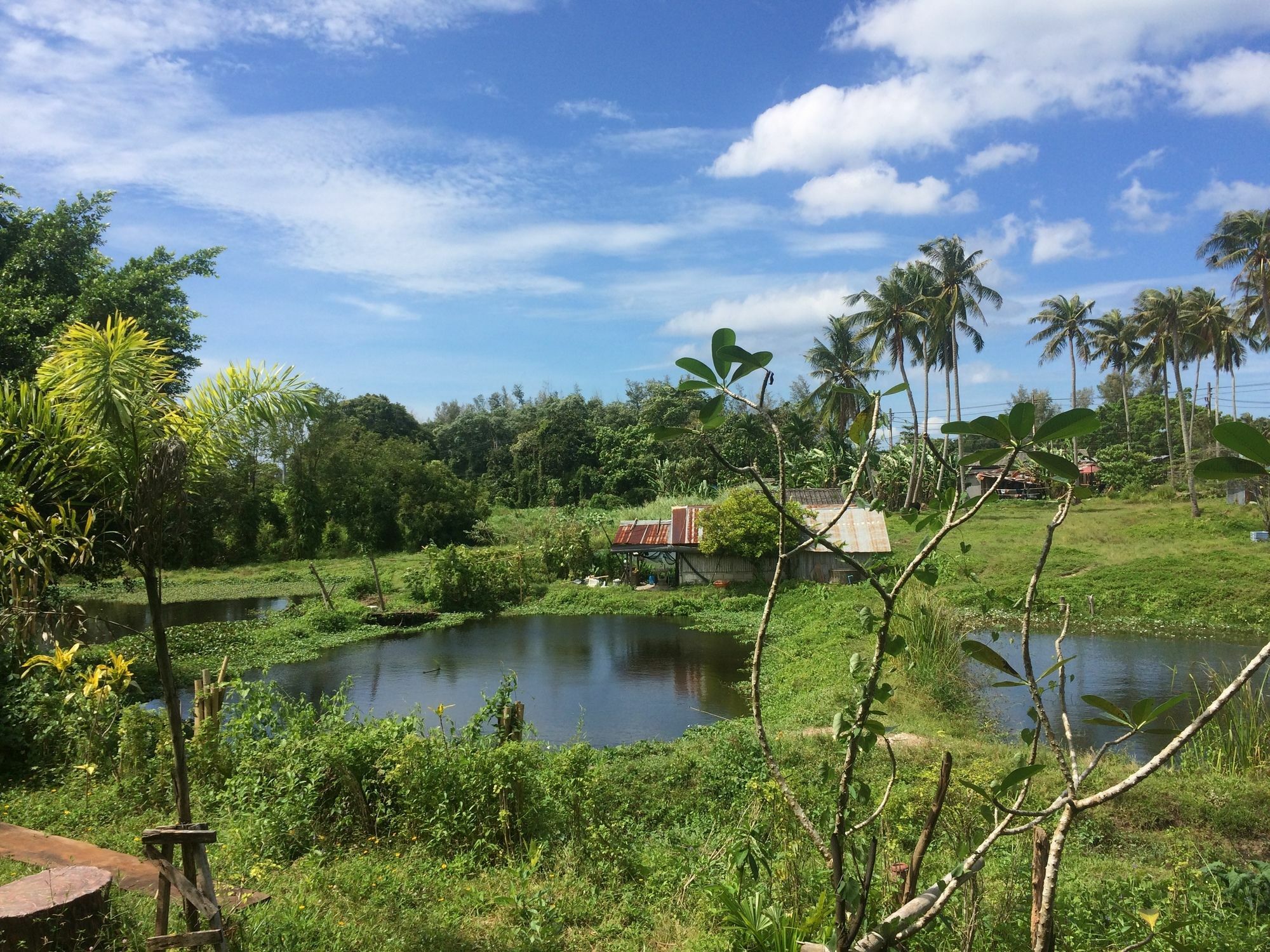 Krabilife Resort Ban Ko Kwang Eksteriør billede